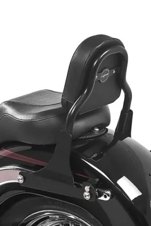 Nieuw Model Sissy bar passend voor Harley Davidson Cross Bones 08-11 CSS zwart Craftride