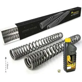 Geld-Terug-Garantie Progressive fork springs for Honda CRF1100L Africa Twin (2020-2025), +20mm / HEAVY LOAD