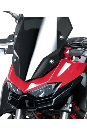 Kawasaki Windscherm Dark Smoke Z 500 (24-) Gratis Retour