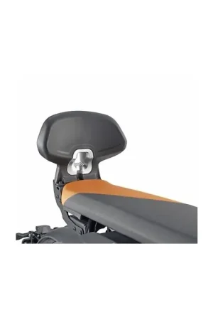 Modern GIVI Rugsteun BMW CE 04