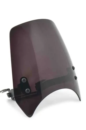 CFMoto Windscherm 450CL-C Direct Beschikbaar