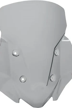 Gratis Verzending GIVI Smoke Windscherm BMW R1300GS