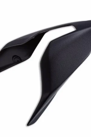 Ducati Carbon Achter Beschermer Direct Beschikbaar