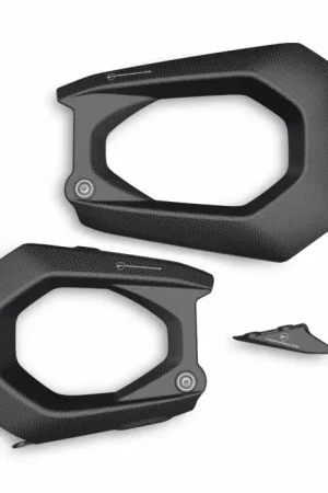 Hete Deal Ducati Carbon Swingarm Beschermer