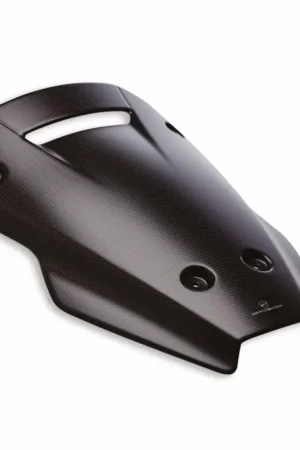 Koopje Ducati Carbon Koplampkuip