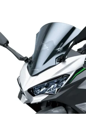 Kawasaki Groot Bubbel Windscherm Smoke Ninja e-1 Gratis Retour