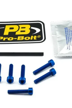 Authentiek Inbus bouten tankdop Kawasaki Ninja 250 2018-2019 blauw 6st.