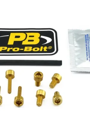 Inbus bouten tankdop Honda CBR1100XX BlackBird 2001-2008 goud 7st. Merkproduct