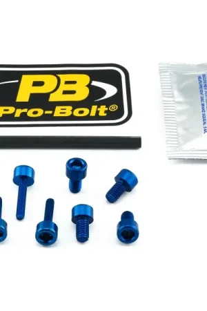 Nieuw Inbus bouten tankdop Honda CB900F Hornet 2001-2007 blauw 7st.