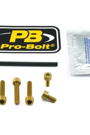 Inbus bouten tankdop Yamaha FZ6 2003-2006 goud 5st. Op = Op