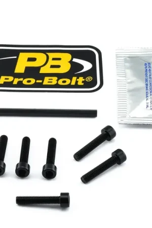 Inbus bouten tankdop Triumph Speed Triple 955i 1999-2004 zwart 6st. Lage Kosten