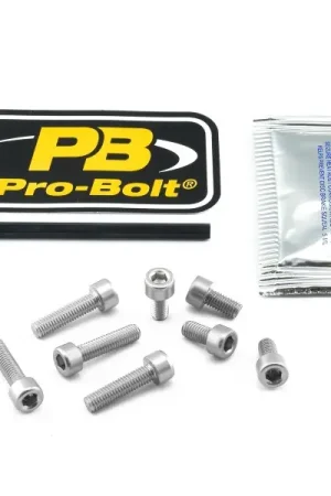 Inbus bouten tankdop Suzuki GSX750F 1998-2003 zilver 8st. Bulkbestelling