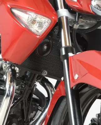 Radiatorbescherming Suzuki Inazuma 250 2013-2018 Exclusief