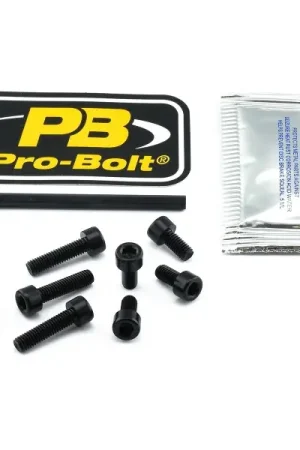 Ambachtelijk Inbus bouten tankdop Suzuki GSX-R1300 Hayabusa 2015-2017 zwart 8st.