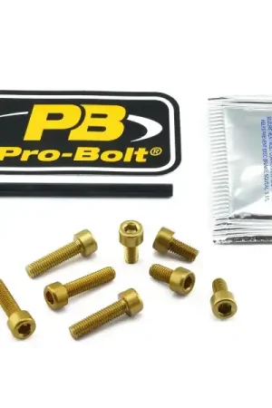 Direct Beschikbaar Inbus bouten tankdop Suzuki GSX-R750 rood 8st.