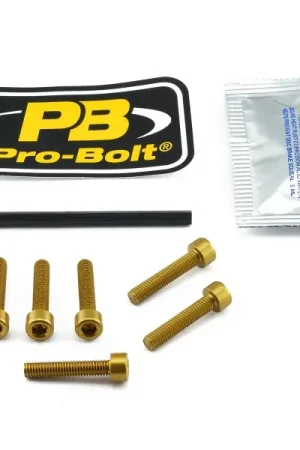 Gratis Retour Inbus bouten tankdop BMW F650 Funduro 1993-2000 goud 6st.