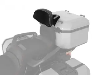 Can-Am Canyon Passagiers Rugsteun Ambachtelijk