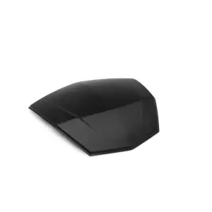 Kawasaki Topkoffer Decoplaat Direct Verzonden