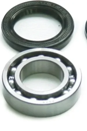 TOURMAX - SAO-112 - Swing Arm Bearing/Seal Kit - Seals Included Veilige Betaling