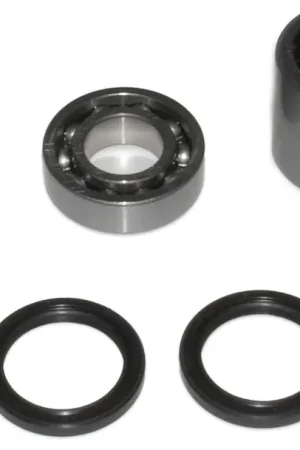 TOURMAX - SAO-120 - Swing Arm Bearing/Seal Kit - Seals Included Merkproduct