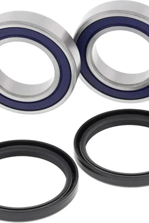 Hoge Kwaliteit ALL BALLS - 25-1698 - Wheel Bearing - Achterwiel