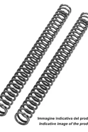 Tijdelijk Beschikbaar BITUBO - FORK SPRINGS KIT LIN. K=0.95 - Suspension - 1L OIL