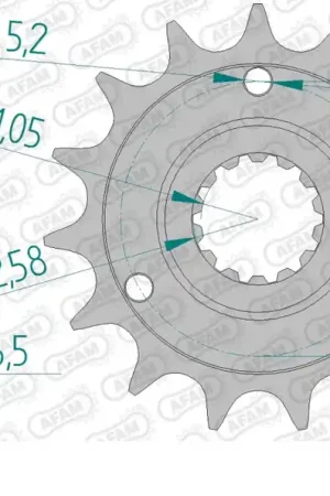 AFAM - FRONT 15T, 525 - Sprockets - Compatibel met Ducati Voordeelprijs