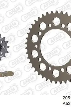 Finale Uitverkoop AFAM - 520XSR 110 MRS (RIVET) GOLD & SPROCKETS - Chain Kits - ALU