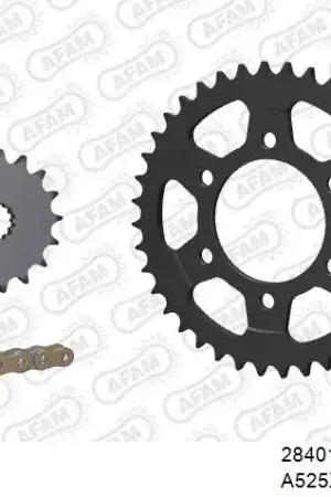 Nu Kopen AFAM - 525XHR3 110 MRS (RIVET) GOLD & SPROCKETS - STEEL