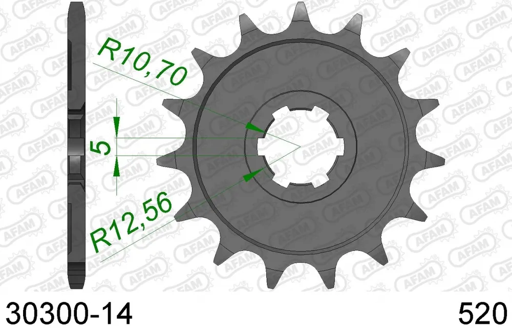 Professioneel AFAM - FRONT 14T, 520 - Sprockets - 14T