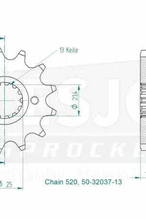 Snelle Levering ESJOT - FRONT 13T, 520 - Sprockets - 13T