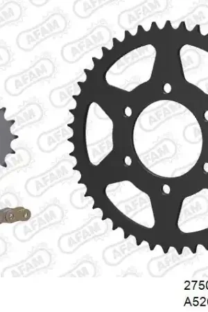 AFAM - 520XSR 114 MRS (RIVET) GOLD & SPROCKETS - STEEL Nu Kopen