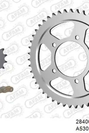 Garantie Inbegrepen AFAM - 530XSR2 114 MRS (RIVET) GOLD & SPROCKETS - STEEL