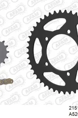 Nieuw AFAM - 520XMR3 110 MRS - Chain Kits - STEEL