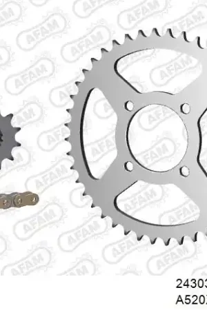 Snelle Levering AFAM - 520XRR3 100 ARS (CLIP) GOLD & SPROCKETS - STEEL