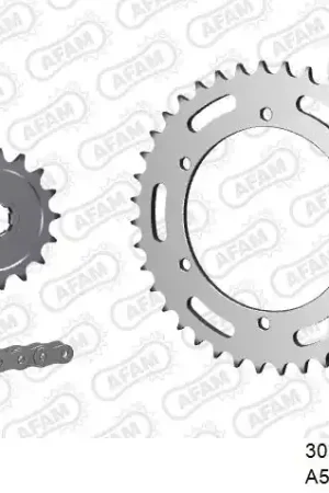 Veilige Betaling AFAM - 520XRR3 106 ARS (CLIP) GOLD & SPROCKETS - STEEL