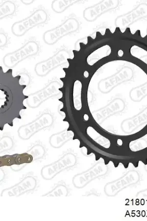 Snelle Levering AFAM - 530XHR2 114 MRS - Chain Kits - Gold & Sprockets