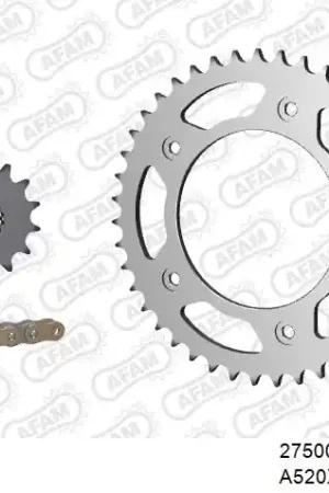 Luxe AFAM - 520XRR3 110 ARS (CLIP) GOLD & SPROCKETS - STEEL