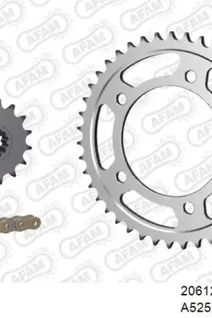 AFAM - 525XSR2 108 MRS (RIVET) GOLD & SPROCKETS - Chain Kits - Steel Nu Kopen