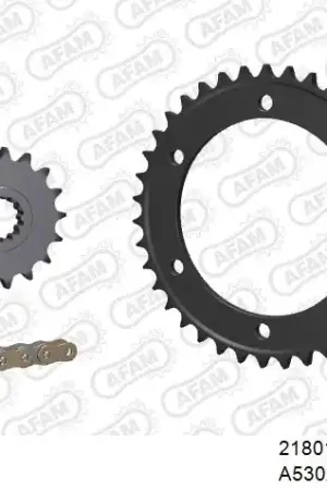Laatste Versie AFAM - 530XSR2 110 MRS - Chain Kits - Gold & Sprockets