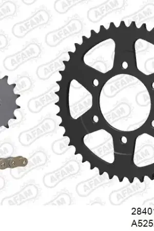 Korting AFAM - 525XSR2 110 MRS (RIVET) GOLD & SPROCKETS - STEEL