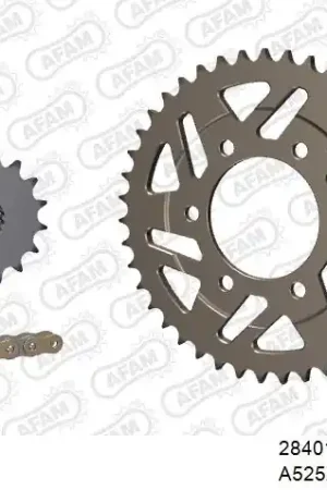 Exclusieve Aanbieding AFAM - 525XSR2 110 MRS (RIVET) GOLD & SPROCKETS - Chain Kits - ALU