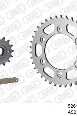 Nieuw Model AFAM - 525XHR3 96 MRS (RIVET) GOLD & SPROCKETS - STEEL