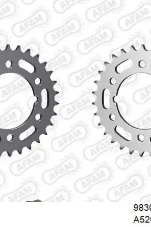 Betrouwbaar AFAM - 520XRR3 116 ARS (CLIP) GOLD & SPROCKETS - STEEL