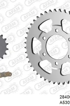 Rechtstreeks Van De Fabrikant AFAM - 530XSR2 116 MRS (RIVET) GOLD & SPROCKETS - STEEL