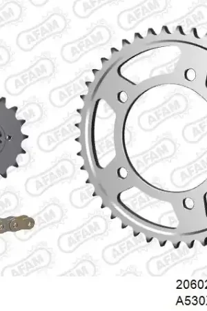 Alleen Vandaag AFAM - 530XHR2 110 MRS (RIVET) GOLD & SPROCKETS - Chain Kits - STEEL