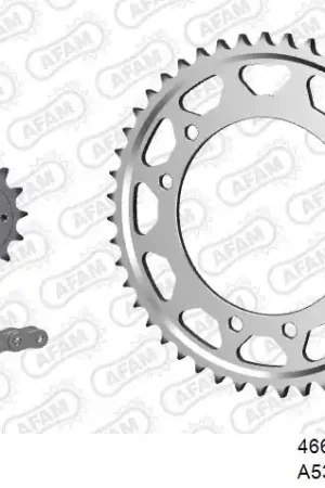Lage Prijs AFAM - 530XMR3 108 MRS (RIVET) - Chain Kits - STEEL