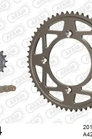 Professioneel AFAM - 428MX 124 ARS (CLIP) GOLD & SPROCKETS - Chain Kits - ALU