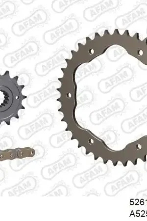 Gratis Verzending AFAM - 525XHR3 98 MRS - Chain Kits - RIVET GOLD