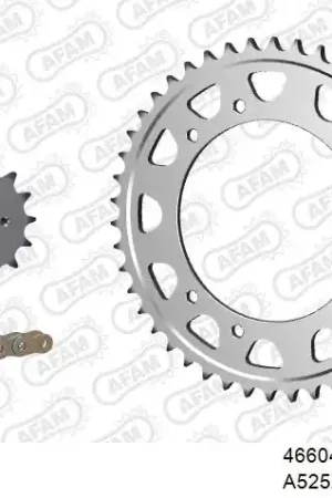 Trendy AFAM - 525XSR2 108 MRS - Chain Kits - GOLD & SPROCKETS